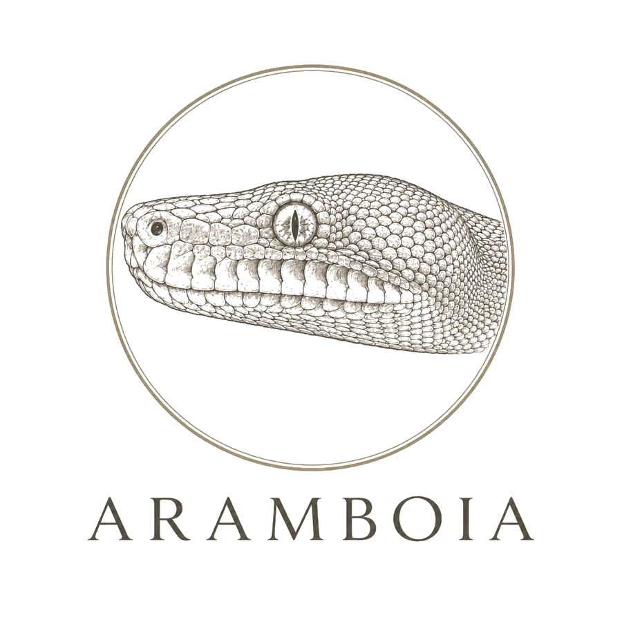ARAMBOIA
